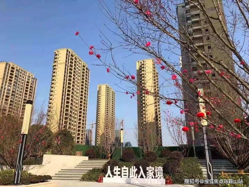 鎮江新盤速遞 一站式獲取樓盤動態、地址戶型與教育資源解析